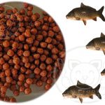 فروش ویژه غذای ماهی کپور رودخانه